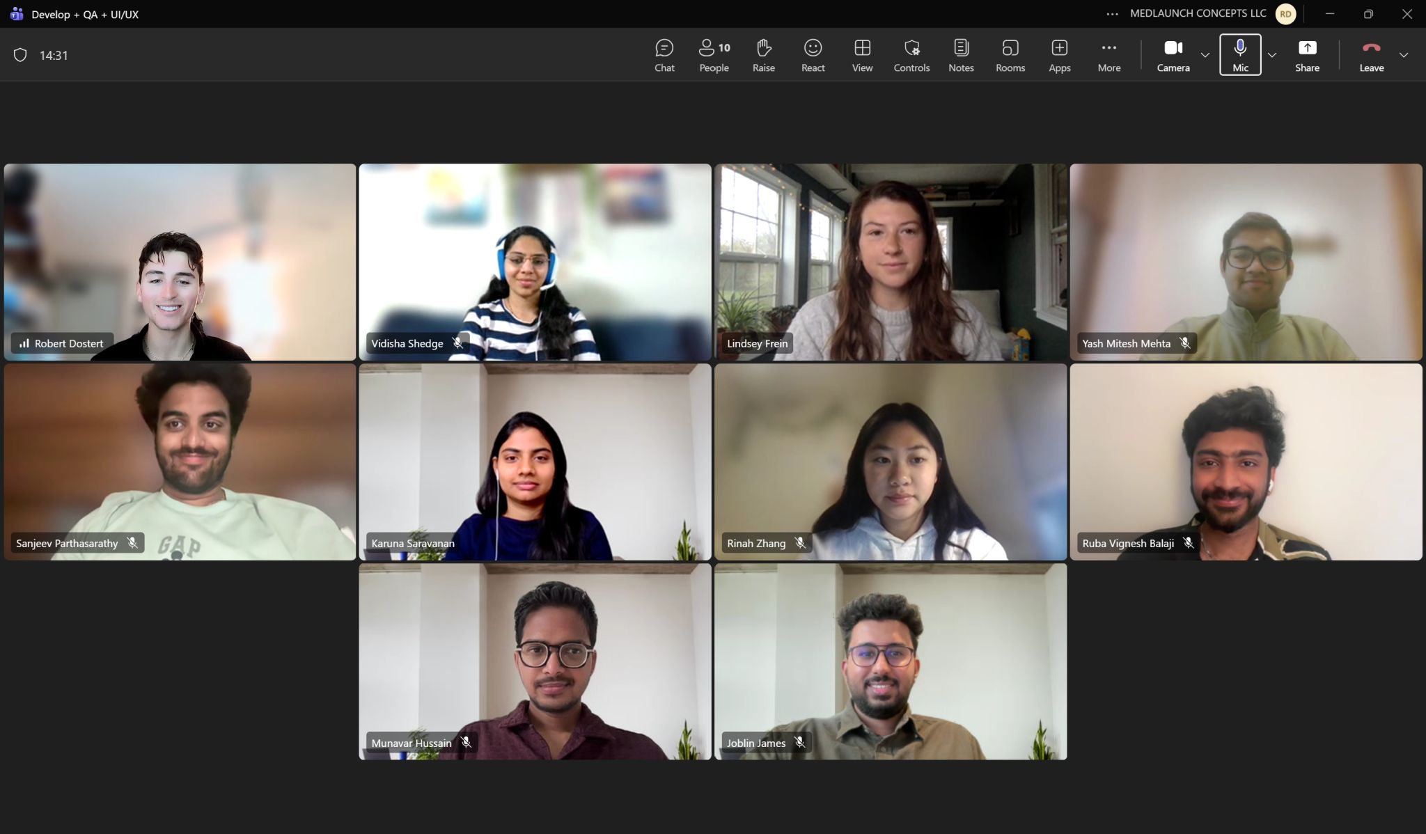 Screenshot of Teams Meeting of Collaborators 