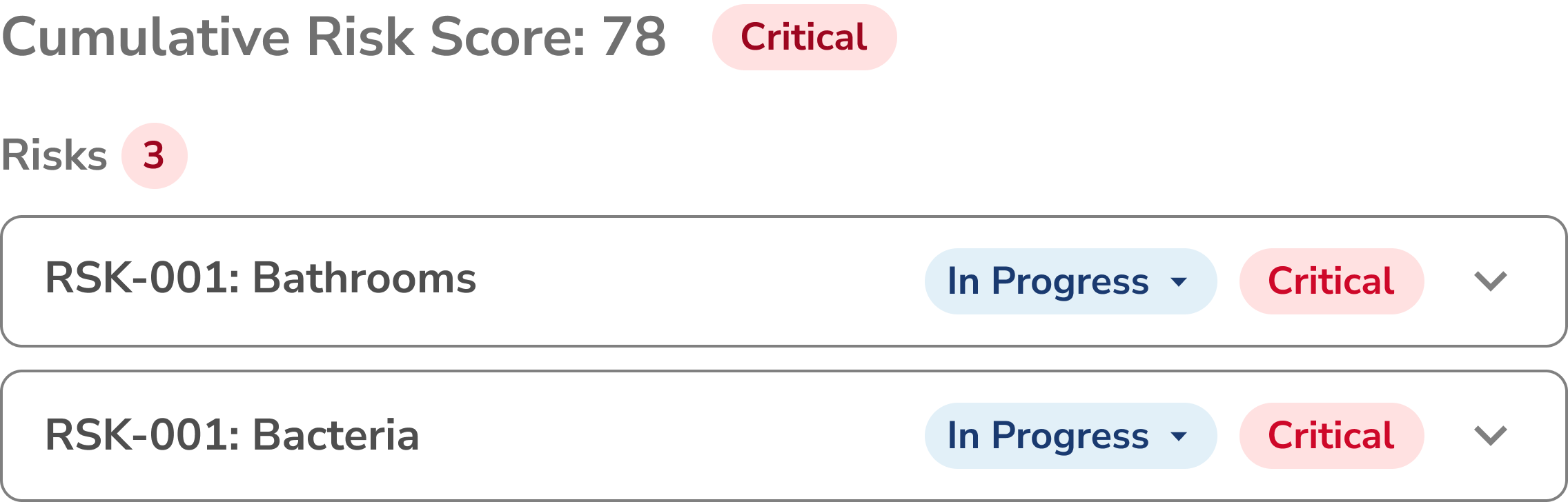 Risk Analysis Visual